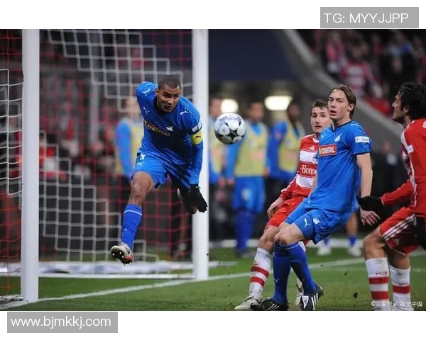 霍芬海姆主力球员受伤，将缺席两周赛事